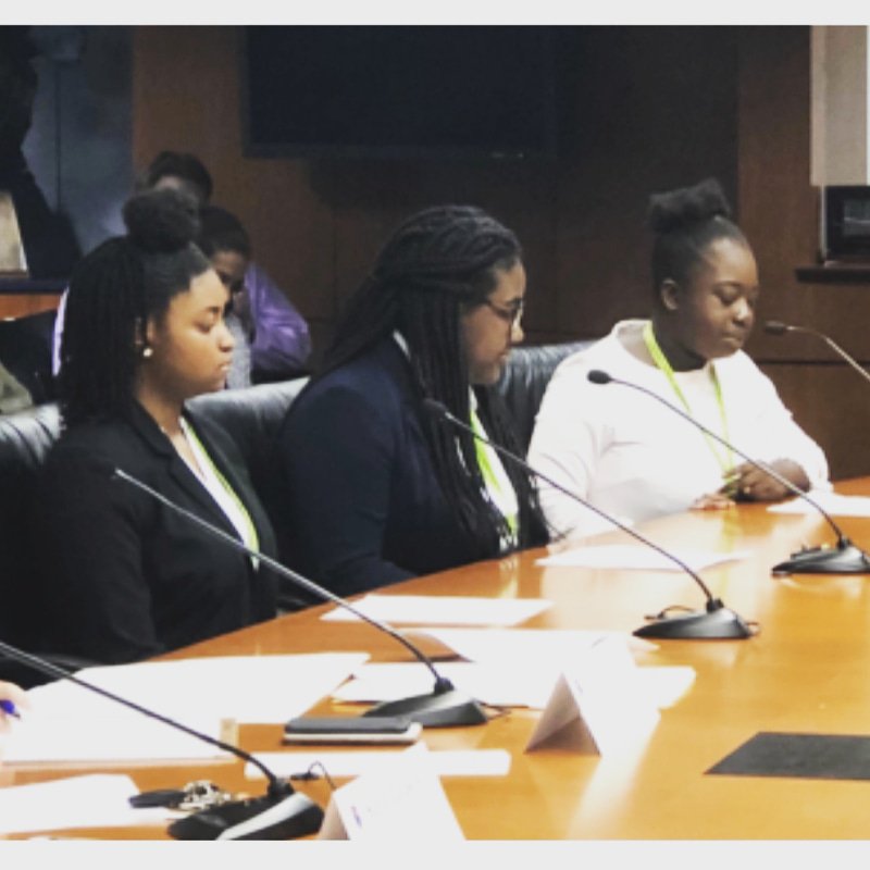 CouncilMemberD9's tweet photo. District 9 students from Gwynn Park High's Future Farmers of America address the council on "Urban Farm" legislation. https://t.co/UKHnXSusg9