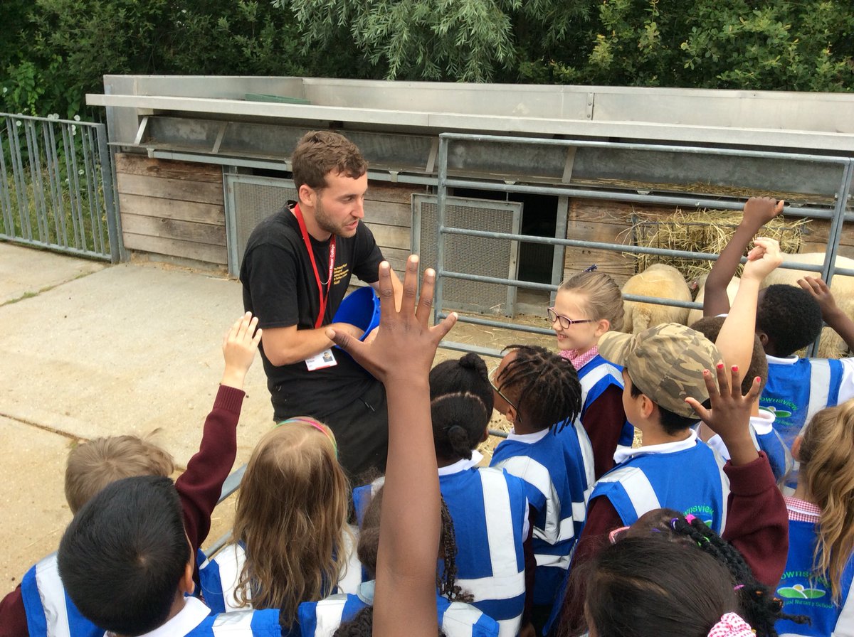 downsviewcroyy1's tweet photo. ...then to the farm where we fed, stroked and learned lots about the animals, thks to Louis at Capel Manor Farm in Crystal Palace Park #dvps https://t.co/2hoDMocvN8