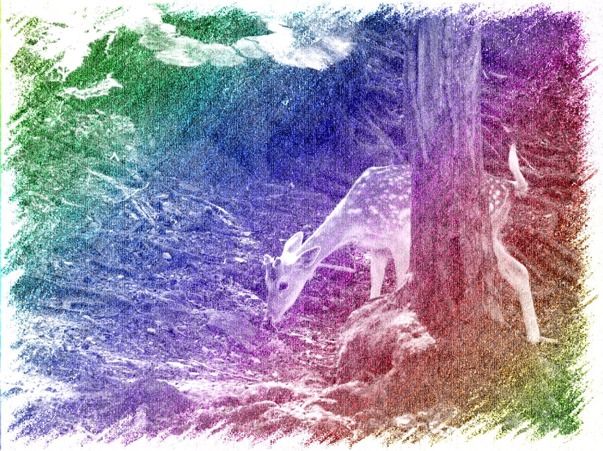 CCandiracci's tweet photo. Beautiful sketch created by My Sketch App for iPhone &amp; iPad  https://t.co/eCeAml1oEf https://t.co/DRakCTedkB