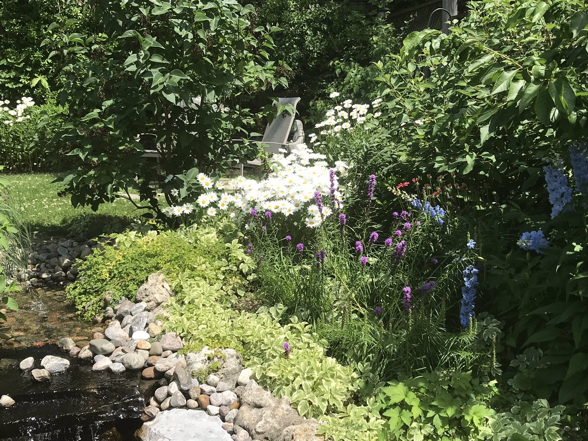 Kerry Stratton tweet media