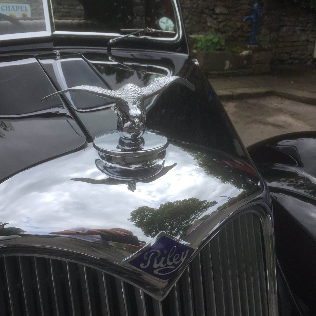 Life Of Riley tweet media