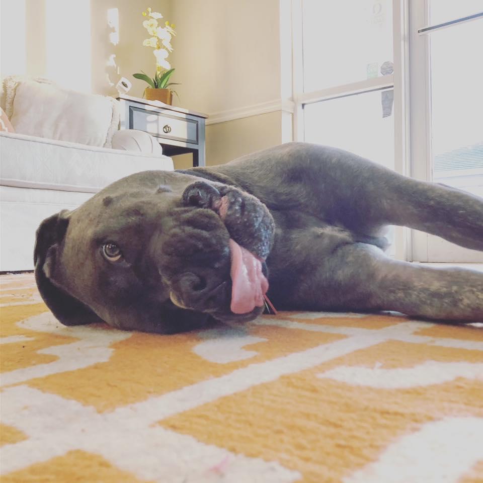 GetPushing's tweet photo. Just like Mondays, trying to operate your business without a strategy can be pretty ruff. Don't drive yourself crazy; set yourself up for success with a plan before you take action. #MondayMotivation #GetPushing #PTE https://t.co/GH4WhkHvhM