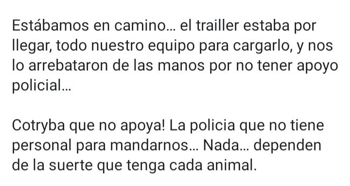 Animales sin Hogar tweet media