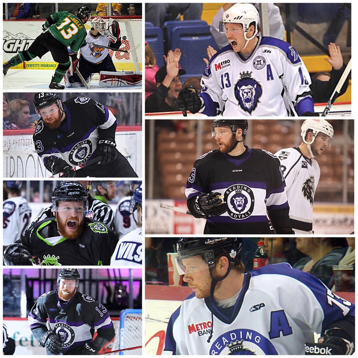 Purple_We_Bleed's tweet image. WELCOME HOME @EHOL_Hockey 🦁1️⃣3️⃣🦁 #Labby #GoRoyals #BleedPurple