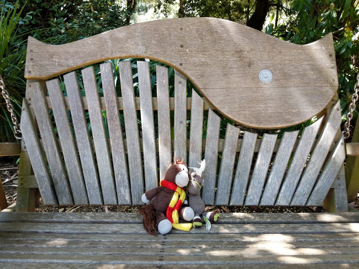 And today we are on holiday bfir a few days so we took @ReisePferdich and Zuppi to some tropical gardens which were lovely