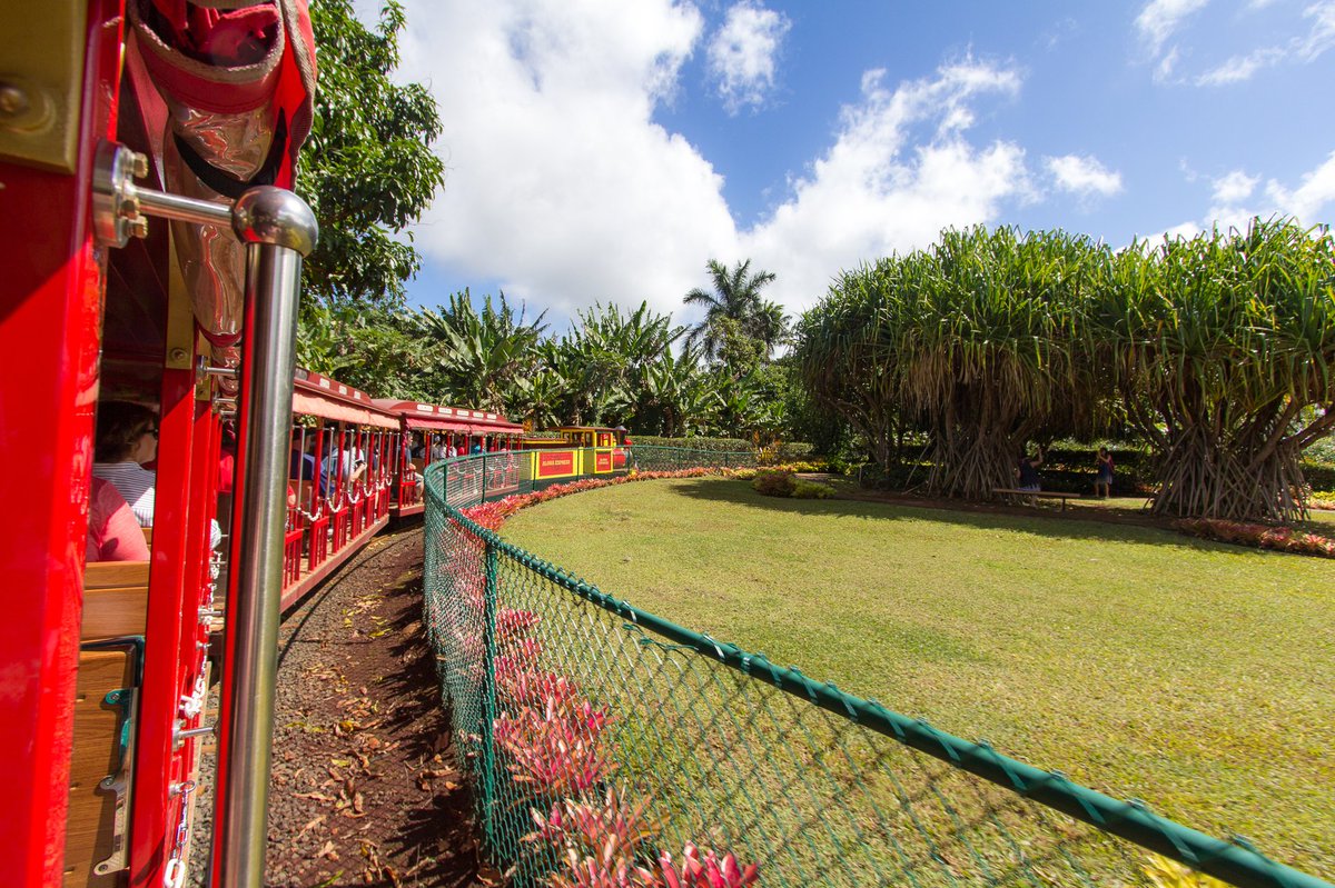 AlongfortheTrip's tweet photo. Come for the #aloha, stay for the #DoleWhip! Read about visiting the @DolePlantation and other cool things to do in Hawaii with kids: https://t.co/5bCj1hRuQC #familytravel #hula https://t.co/yoZbWDiXyQ