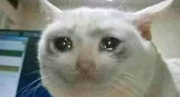 Abduxsamikhanza's tweet photo. 14y/o nibba: *jan kea krrhy ho?*
13y/o nibbi: *sone jarahi hu*
Nibba: *mebhi ajaun?*
Nibbi: *ap bhi na rafay* https://t.co/N03uzpq1Xf