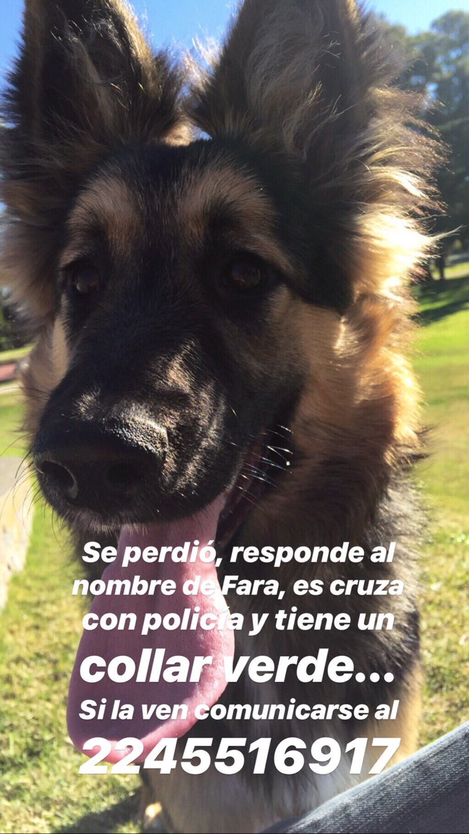 DIFUNDIR!!!