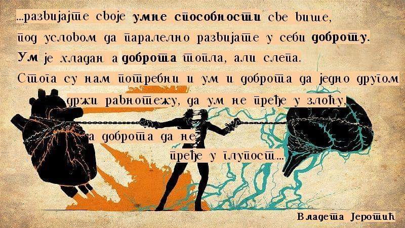 kaktus (@mind_heart_pure) on Twitter photo 