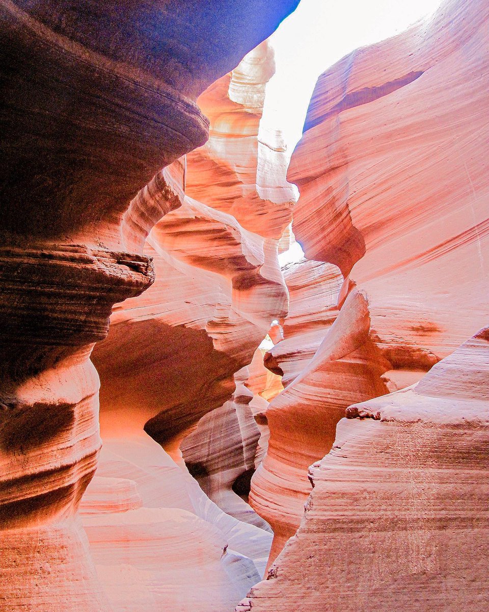 visitgayusa's tweet photo. Did you know we are based in #Arizona? ๐ต We call this beautiful #desert and mountain state home ๐ฒ On top of the many wonders in the #48thState, we also have diverse environments from snowy mountains to dry deserts with delicious #Mexican food ๐ถ๏ธ
๐ท @socal.urbanites https://t.co/xuAwLyKm81