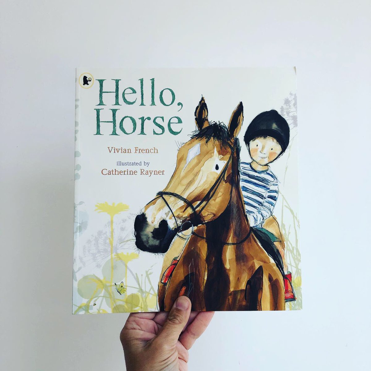 bookgiftblogger's tweet photo. A gentle introduction to horses #HelloHorse by @fivekingdoms & @catherinerayner is a thoughtfully written tale. It offers support & encouragement to younger children when befriending these magnificent animals. A delightful read horse-lover or not 🐴 @BIGPictureBooks https://t.co/TrYNGq8ZhW