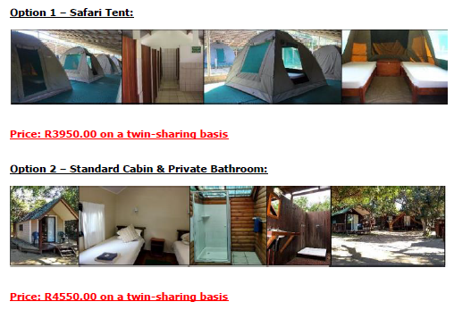 Alpha Dive Centre tweet media