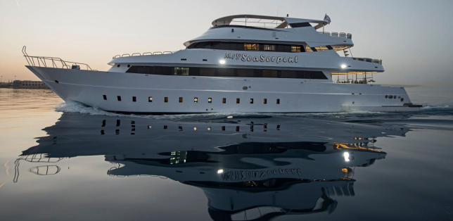 Alpha Dive Centre tweet media