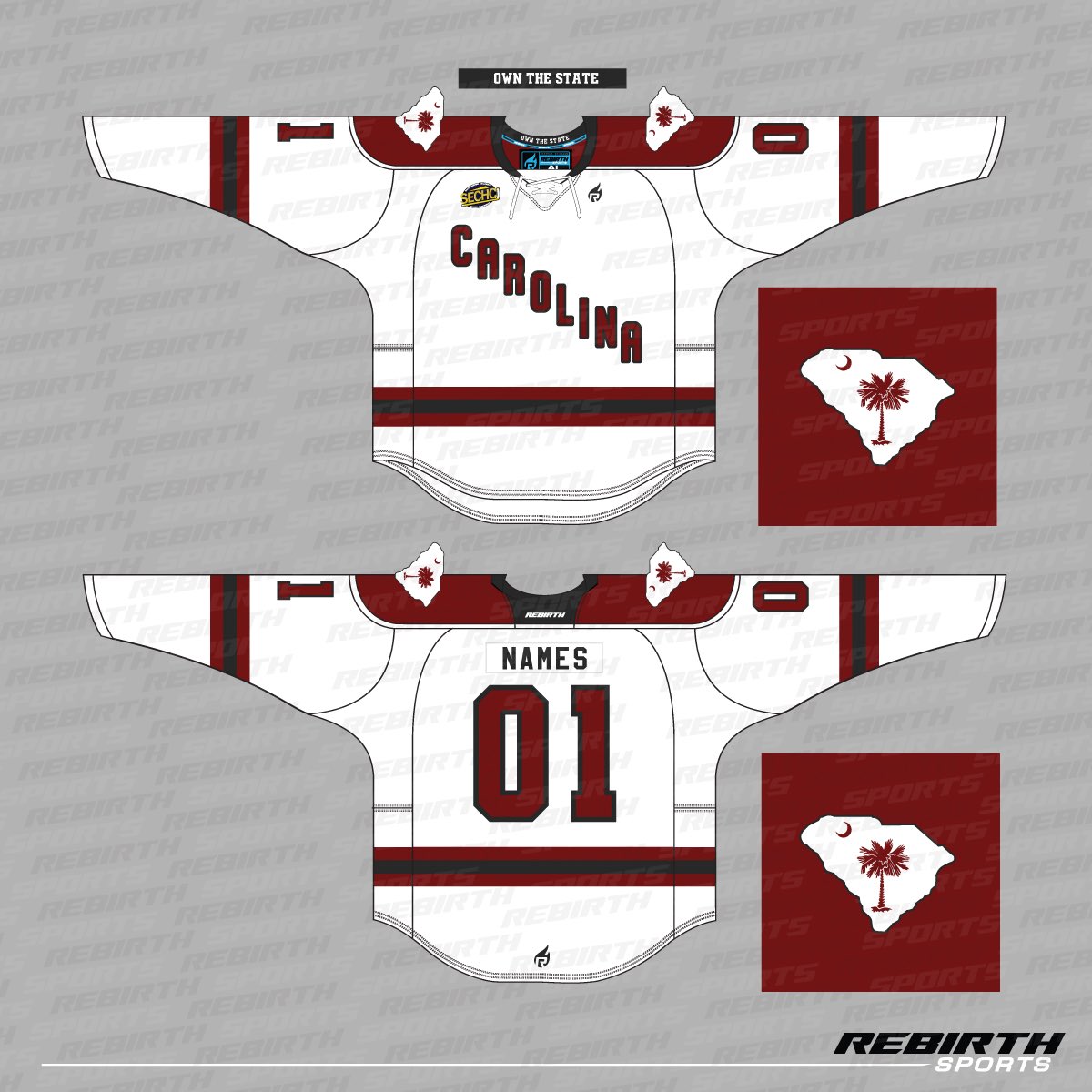 gamecock hockey jersey