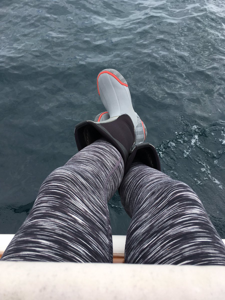 Colleen Feeny tweet media