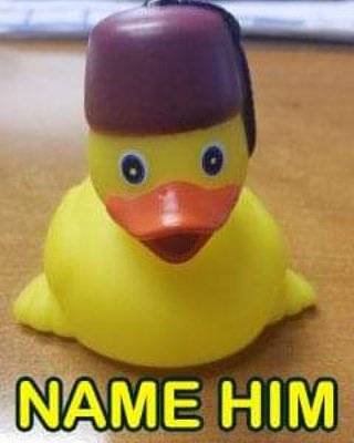 SuezShriners's tweet photo. Suez has a new Mascot. But something this cute needs a name. What should we call our new Noble? https://t.co/PseDCeWuKV