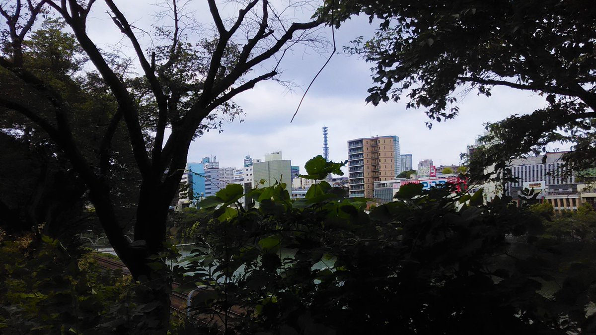 taku_oikawa's tweet photo. 2019年6月27日 木曜日 7:47📷#外濠公園
モントブレチア 姫檜扇水仙
『季節の花300』で検索した
#Montbretia は🇫🇷フランス人モントブレットさんの名前にちなむ
花名も同様 #Crocosmia は🇬🇷ギリシャ語の #crokos(サフラン)+
#osme(匂い)」サフランの香りが語源✨
市ヶ谷方面定点観測地点異常無し👍 https://t.co/TIszXutSzc