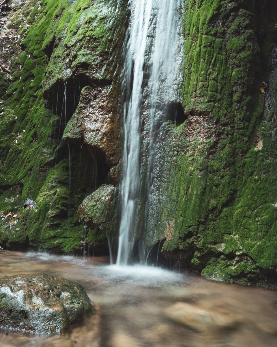 DiscoverGRcom's tweet photo. 👋 DAY 1: First impression of #Samos... refreshing! Cute picturesque villages where you can taste yummy local dishes. Rich nature with small passages that lead to hidden waterfalls... #DiscoverGreece with @invasla for the next 5 days and tune in on IG for more! https://t.co/8Td8h18duD