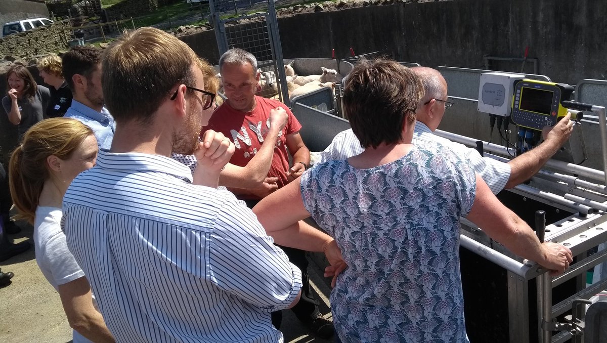 FlockHealth's tweet photo. Many thanks to David Knowles @lleynsheep as well as Hilary @Shearwell, Martin @BorderSoftware &amp; @MasseyRob @DatamarsAgriUK for inspiring #flockhealthclub #keensheepvets at our #vetcpd in Kendal today. 
Great day for #teamsheep - many thanks all https://t.co/0VGxeBw9ie