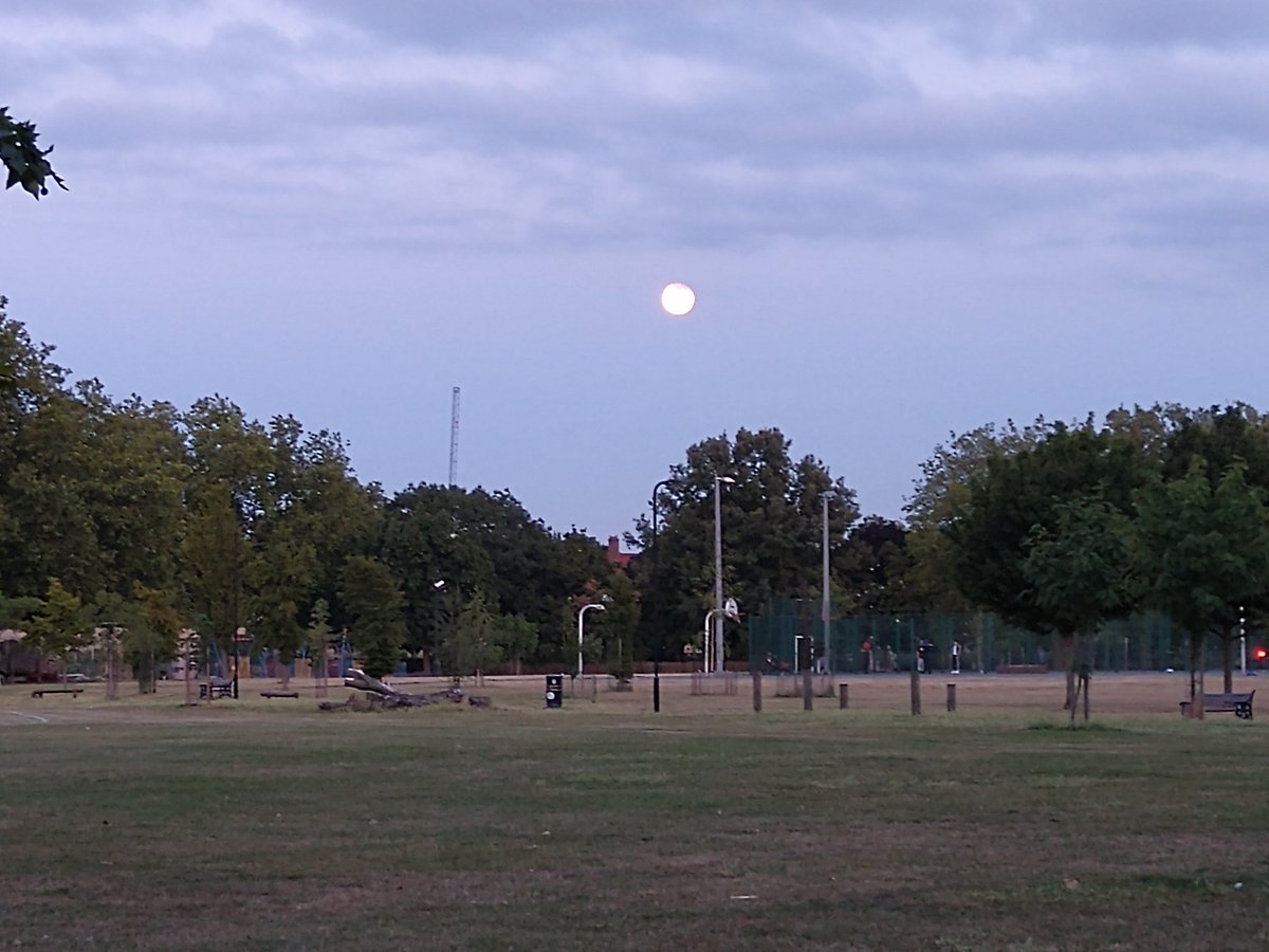 ParkHackney's tweet image. Early evening moon over #hackneydowns #park 🌕🌕🌕