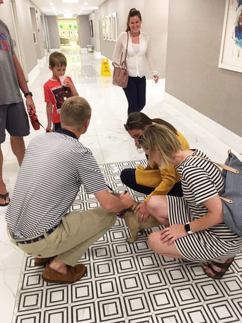 Our newest interns from Virginia Tech have certainly proven to be an  enthusiastic and talented group! We're busy providing hands-on  experience at several of our communities to help ground their majors in  property management and real estate. #GatesHudsonFTW