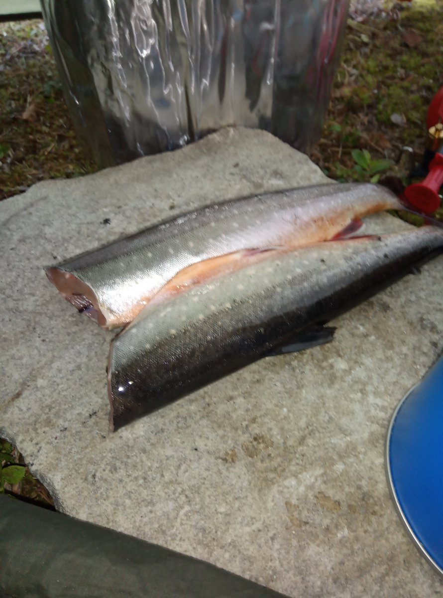 PaaTur's tweet image. @PaaTur og mye motvind på #rogen i dag. Da hjelper det at #røya biter. #spinner #middag