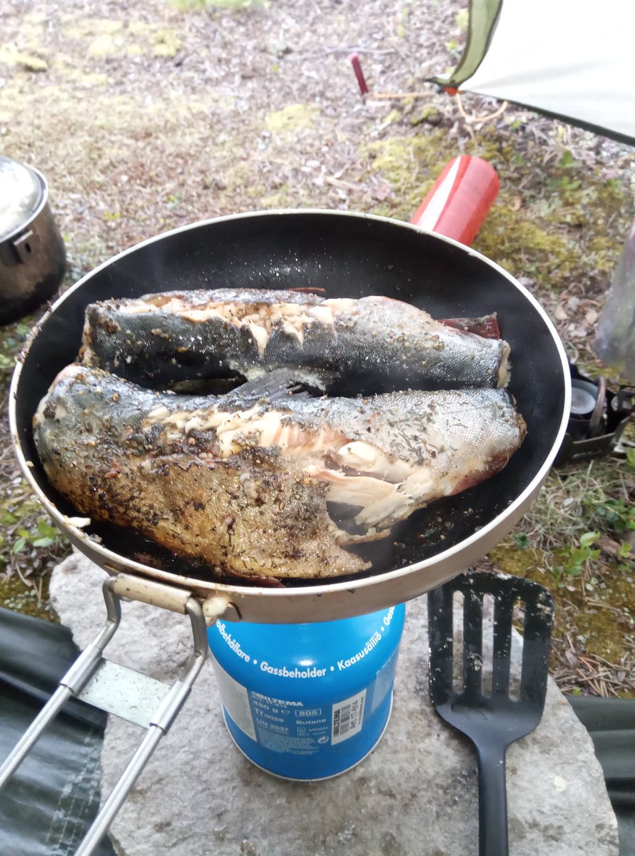 PaaTur's tweet image. @PaaTur og mye motvind på #rogen i dag. Da hjelper det at #røya biter. #spinner #middag