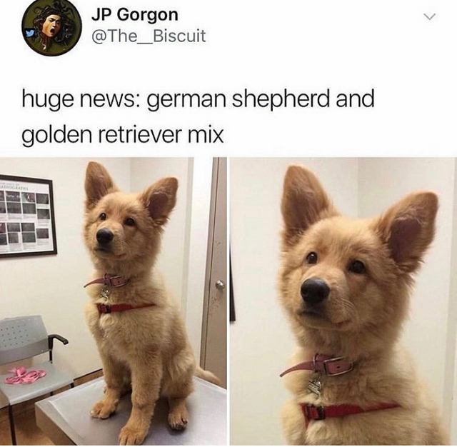 MensHumor's tweet photo. This is AMAZING news! (credit: @the__biscuit/twitter) https://t.co/Q7zogaMVcV