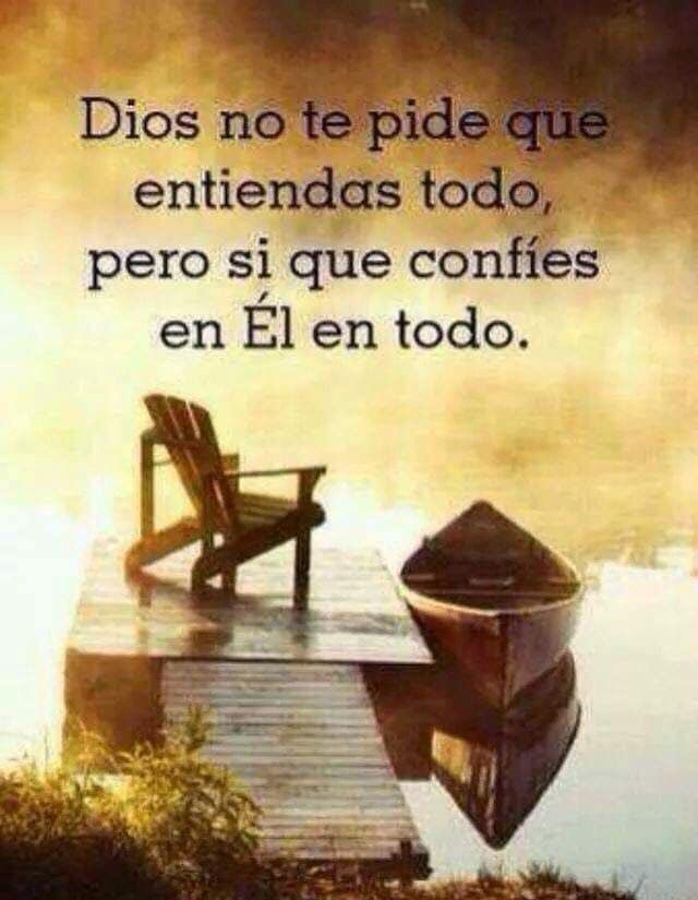 Dios no te pide que entiendas todo, pero sí que confíes en Él en todo.