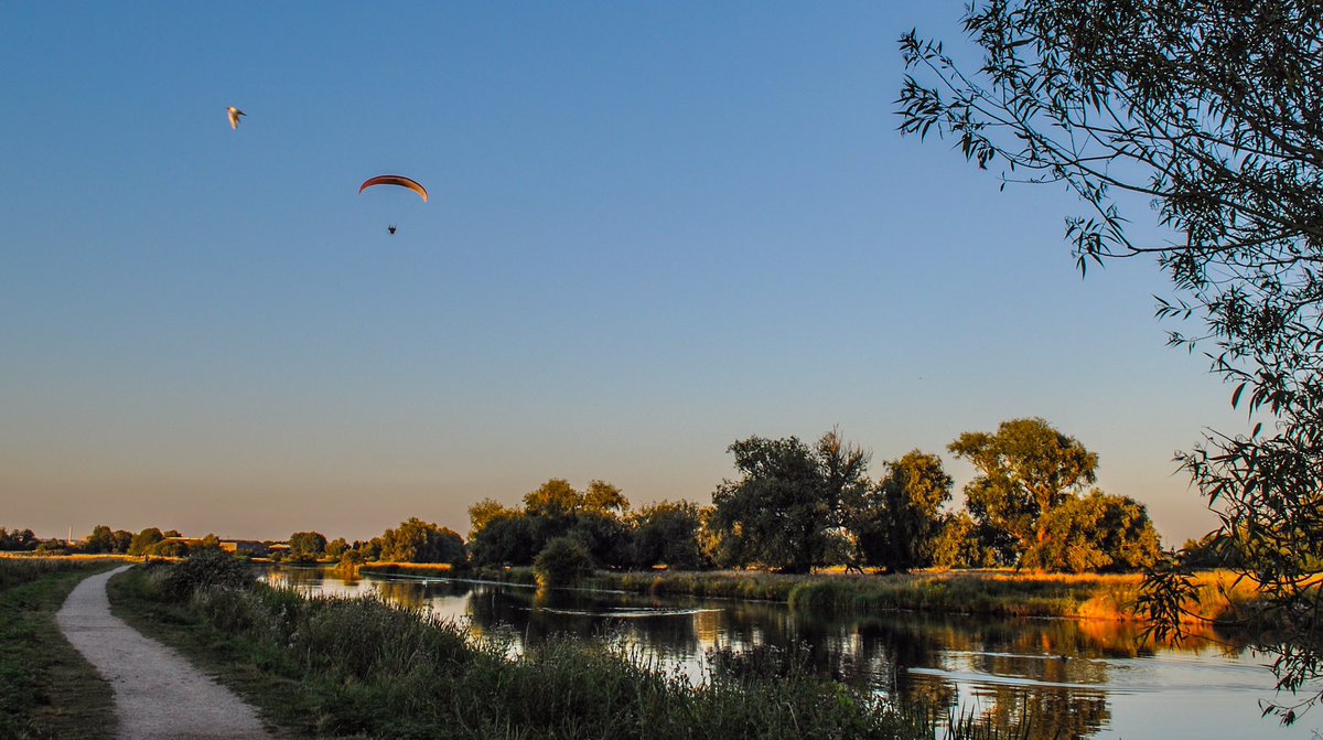 VeronicaJoPo's tweet photo. Love summer evenings like this, just #priceless #loveukweather #stormhour #swan #moonrise #riverside #flyinglikeabird #ballsphotos #picoftheweek #celebratethefens @metoffice @StormHour @wildlifebcn @HerewardCountry @itvanglia @ThePhotoHour @visitely @FascinatingFens @Fen_SCENE https://t.co/5ePPLfx8nN