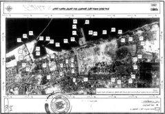 ×ª××× ×