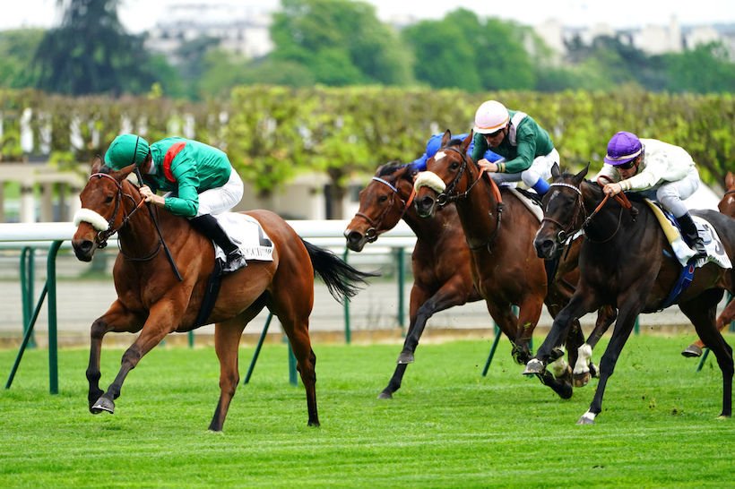 ashsh's tweet photo. Disappointing to hear G1 #Alary winner SIYARAFINA has been retired.
Looked a flying machine when she hit top gear and can only wonder what may have been! https://t.co/I4ZFxRpXeQ