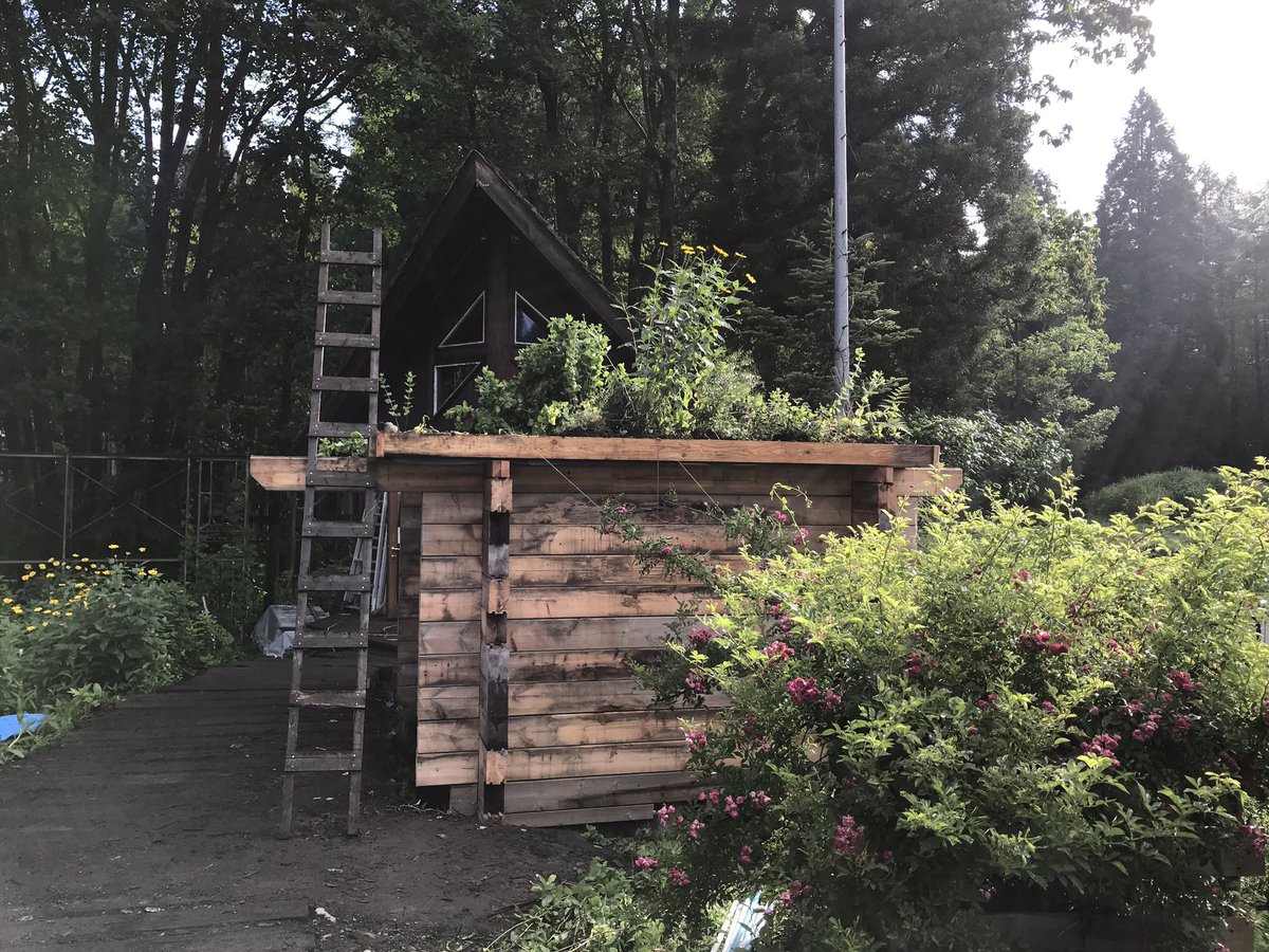 loghouse_lograf's tweet photo. 朝陽と共にサウナ小屋作りワークショップ3日スタートです!
・
#loghouse #loghome #lograf #ログハウス #森に住もう部 #ログラフ #木の家 #自然素材の家 #diy #セルフビルド #オールドログ #oldlog #oldlogcabin #sauna #thesauna #野尻湖 #ととのう https://t.co/wBy66fRfpJ