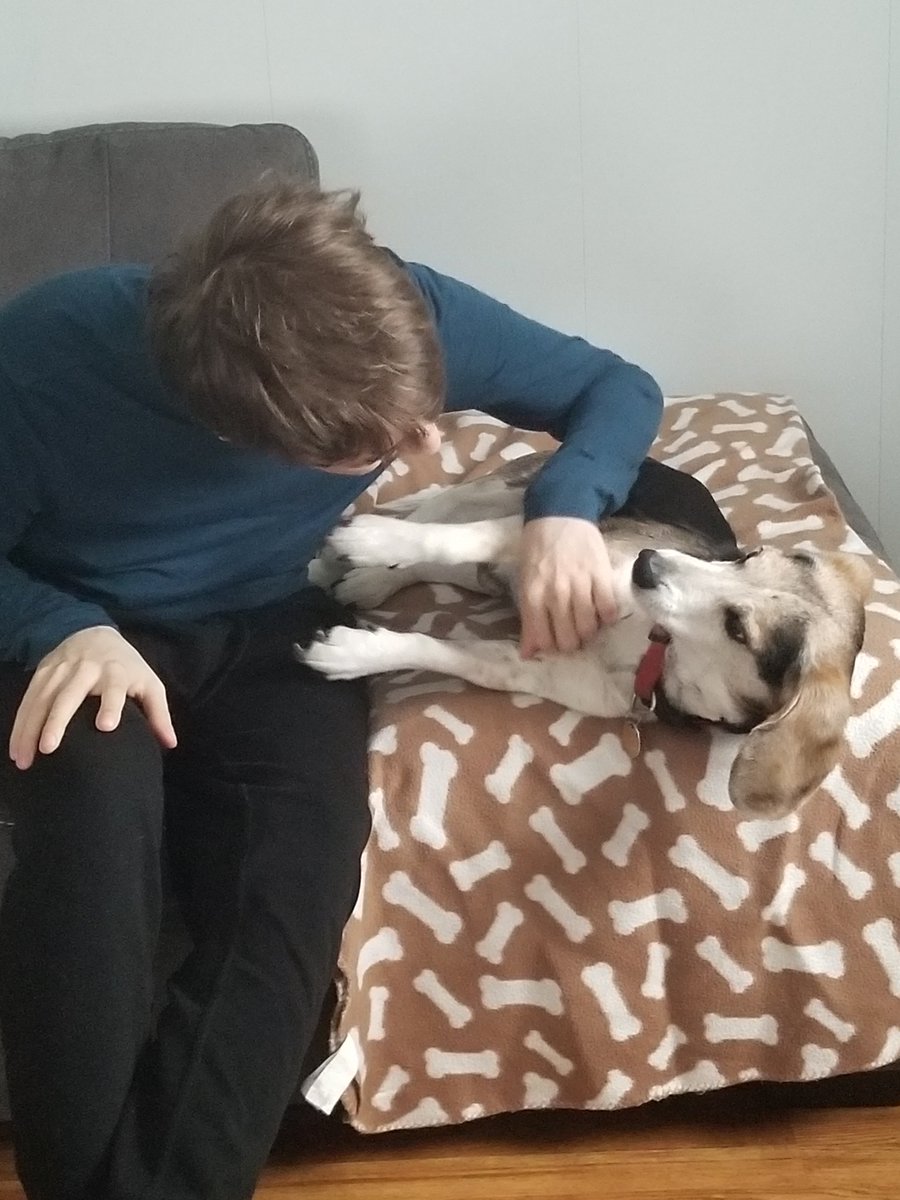 XJ9LoL's tweet image. Ally's dog passed away today. He loved me so much. This was him when he only knew me for 3 days. I became his best friend. He would always look at me, cry if I left, follow me when I took showers. If anyone else left, he didn't cry because I was there. I'll miss Charlie my friend