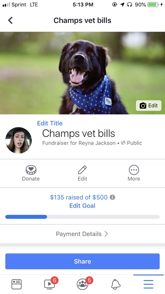 Raynerd_69's tweet photo. https://t.co/VEy9r2pTwH  hey guys, champ is going through a tough time right now. He’s had heartworms for a while and after 6 months of slow treatment they’ve gotten worse, so he’ll start a new more aggressive treatment and needs some support. Pls rt and post pics of your pups! https://t.co/zWyLOR5O58