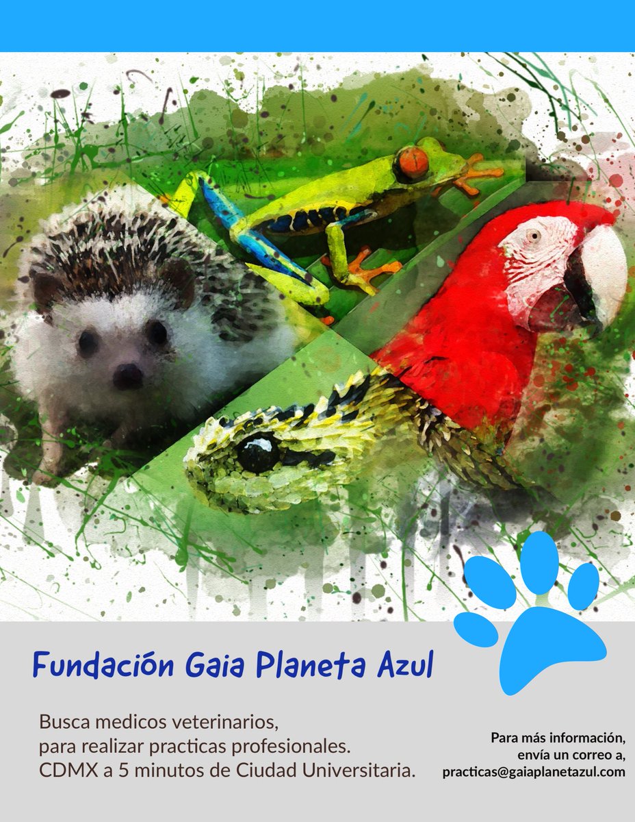 El equipo de Gaia Planeta Azul está buscando estudiantes de Medicina Veterinaria y Zootecnia, para realizar sus prácticas profesionales en la Ciudad de México a 5 minutos de Ciudad Universitaria, para mayor información envía un correo con tus datos a practicas@gaiaplanetazul.com