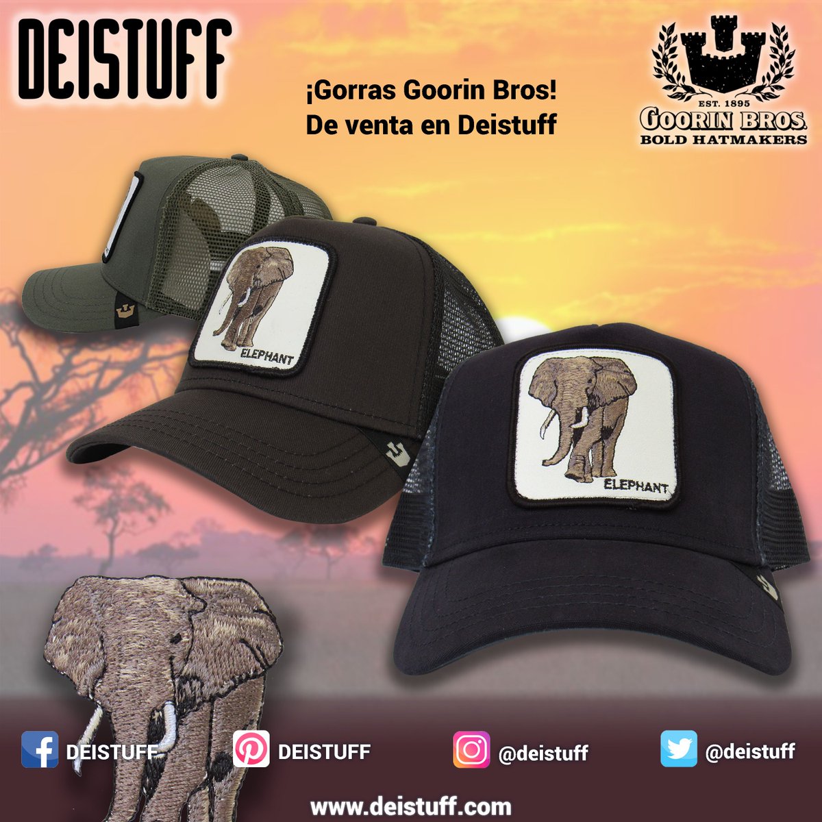 gorra goorin bros elephant
