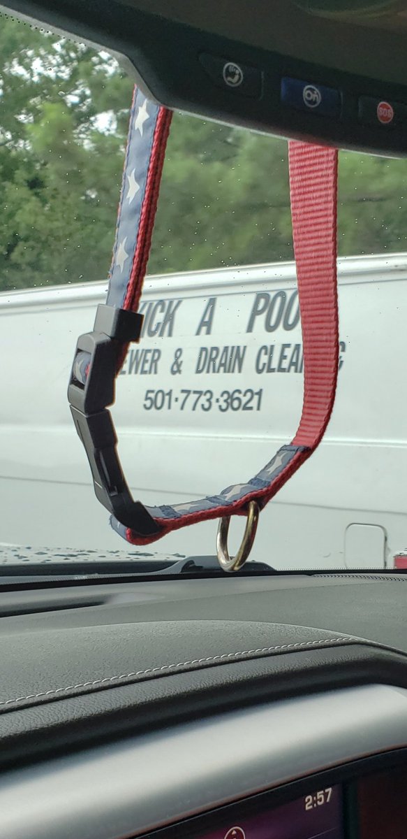 tailtank4's tweet image. Excuse the dog collar but the name on the van caught our eye.😳 #kickapoo