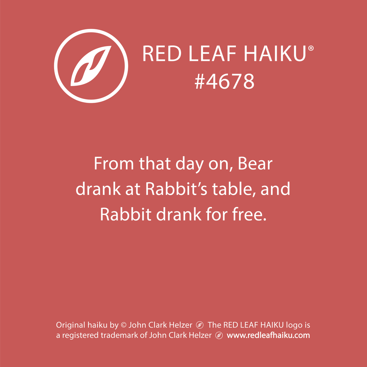 redleafhaiku's tweet photo. From that day on, Bear 
drank at Rabbit’s table, and 
Rabbit drank for free. 
🍁 Red Leaf Haiku by © John Clark Helzer 
#redleafhaiku #haiku #poetry #poem #Rabbit #Bear https://t.co/wyRqBofj1g