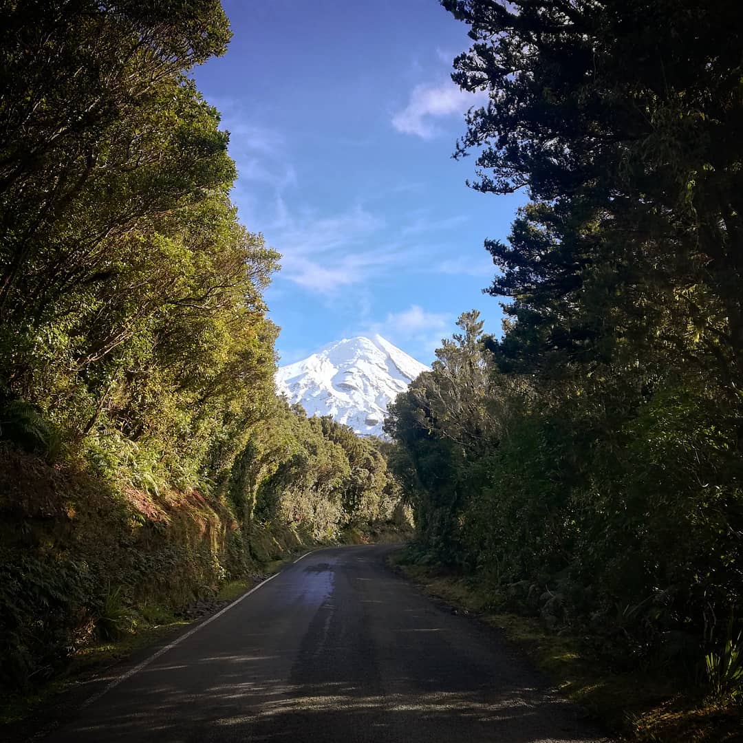 WildTaranaki's tweet photo. Can't get enough of the drive up the mountain! Who else loves that forest canopy?🗻🌲 Make the trip up to the Ngati Ruanui Stratford Mountain House this weekend to see for yourself 🥂. Thanks for sharing @minniememoirs
#wildtaranaki #taranaki #stratfordmountainhouse #ngatiruanui https://t.co/reEHwPsalu