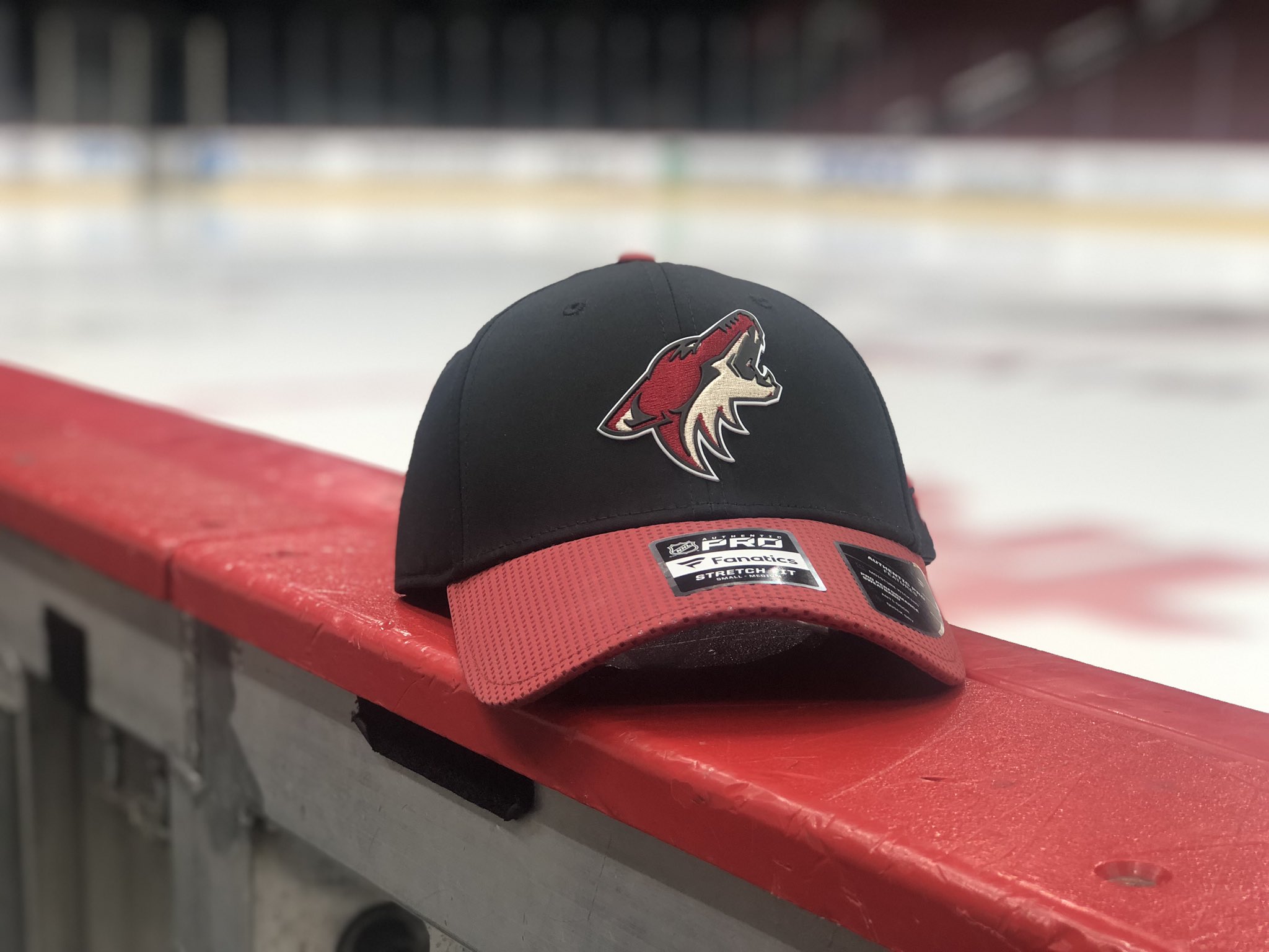 arizona coyotes caps