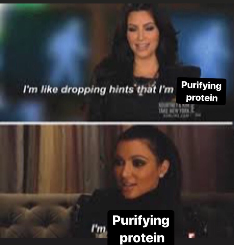 Matthew A Cruz, PhD tweet media