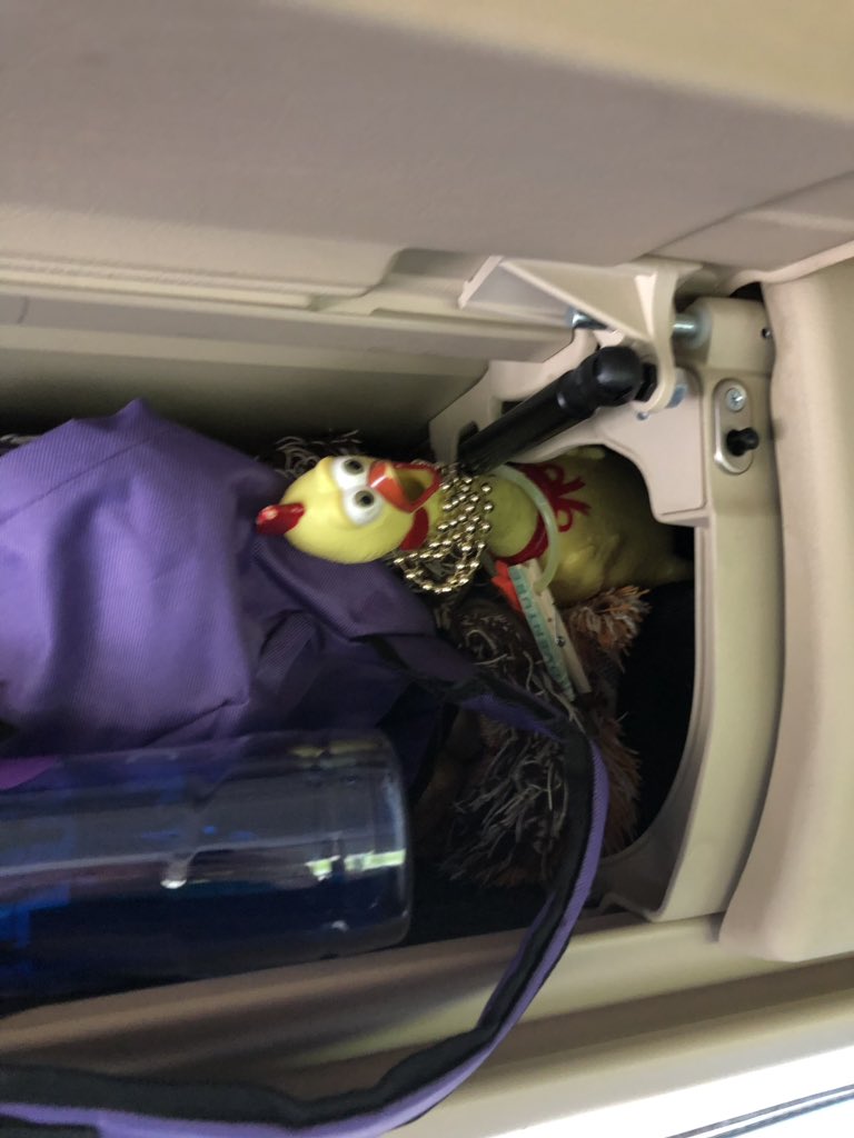 lutheranchicken's tweet photo. Not in a backpack, but they DID stuff me into the overhead bin on the bus! #NYG2019 #chickentogo #sendhelp https://t.co/IC7iaLkOIG
