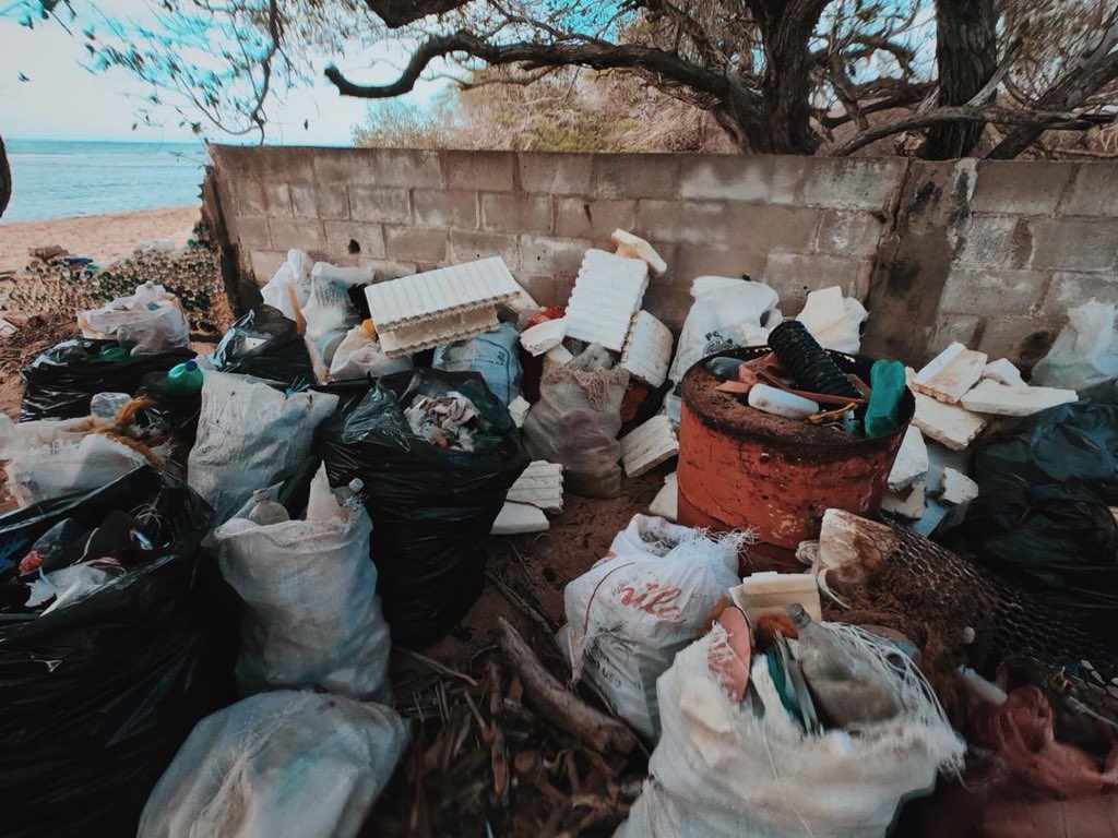 Daareche's tweet photo. Les quiero presentar un proyecto que comencé hace poco con unos amigos. Básicamente se trata de recuperar nuestras playas del mal estado en el que están. Esta fue nuestra primera experiencia: playa cazón - estado Falcón

Espero lo compartan para que otros se contagien de esto♥️ https://t.co/ztbjNOavA6
