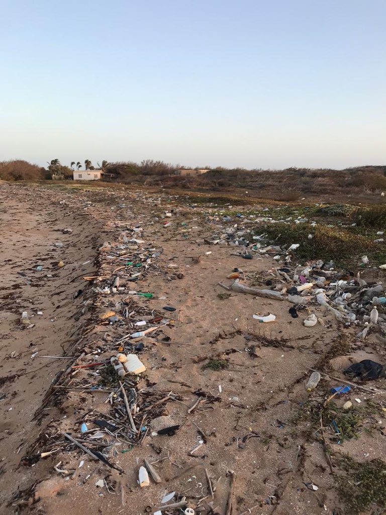 Daareche's tweet photo. Les quiero presentar un proyecto que comencé hace poco con unos amigos. Básicamente se trata de recuperar nuestras playas del mal estado en el que están. Esta fue nuestra primera experiencia: playa cazón - estado Falcón

Espero lo compartan para que otros se contagien de esto♥️ https://t.co/ztbjNOavA6