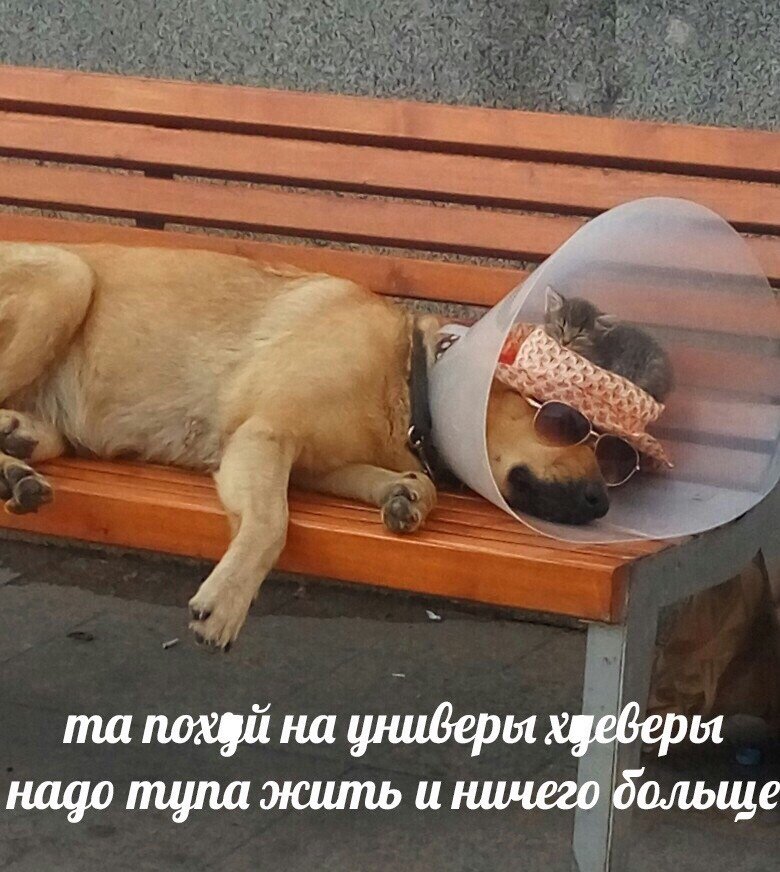 #пасмурныйфолловитвсех
💜 взаимно фоллоу 💜