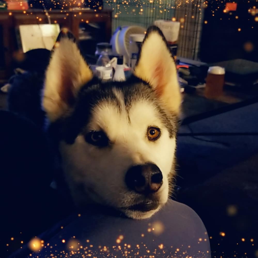 zbeast13's tweet photo. Snapchat glam session with my main squeeze😍 #handsomedevil #handsomeisashandsomedoes #goodestboi #highhuskyfashion #justjax https://t.co/AqbOhgupIQ