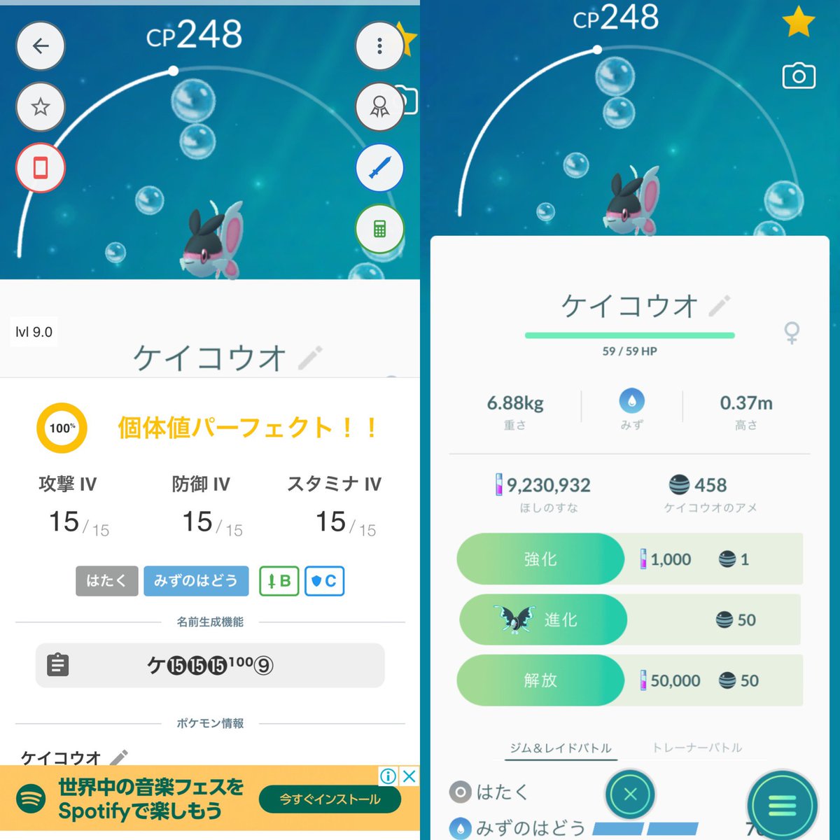 Pokegoラビリンス على تويتر ケイコウオ Fff野生でgetです 野生では珍しいかも アプデ来たらゲーム内個体値チェッカーでも調べてみたいｐ ｑ ケイコウオ Fff 野生 ポケモンgo ネオラント 個体値