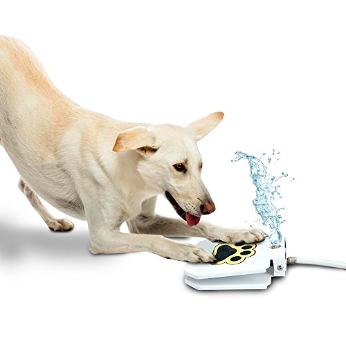 LoveToyDogs's tweet image. Trio Gato Outdoor Dog Pet Water Sprinkler Easy Activated Dog Water Fountain Toy – Upgraded 2019 + Bonus dlvr.it/R8TBtS #DogFetch #dogfetchlauncher