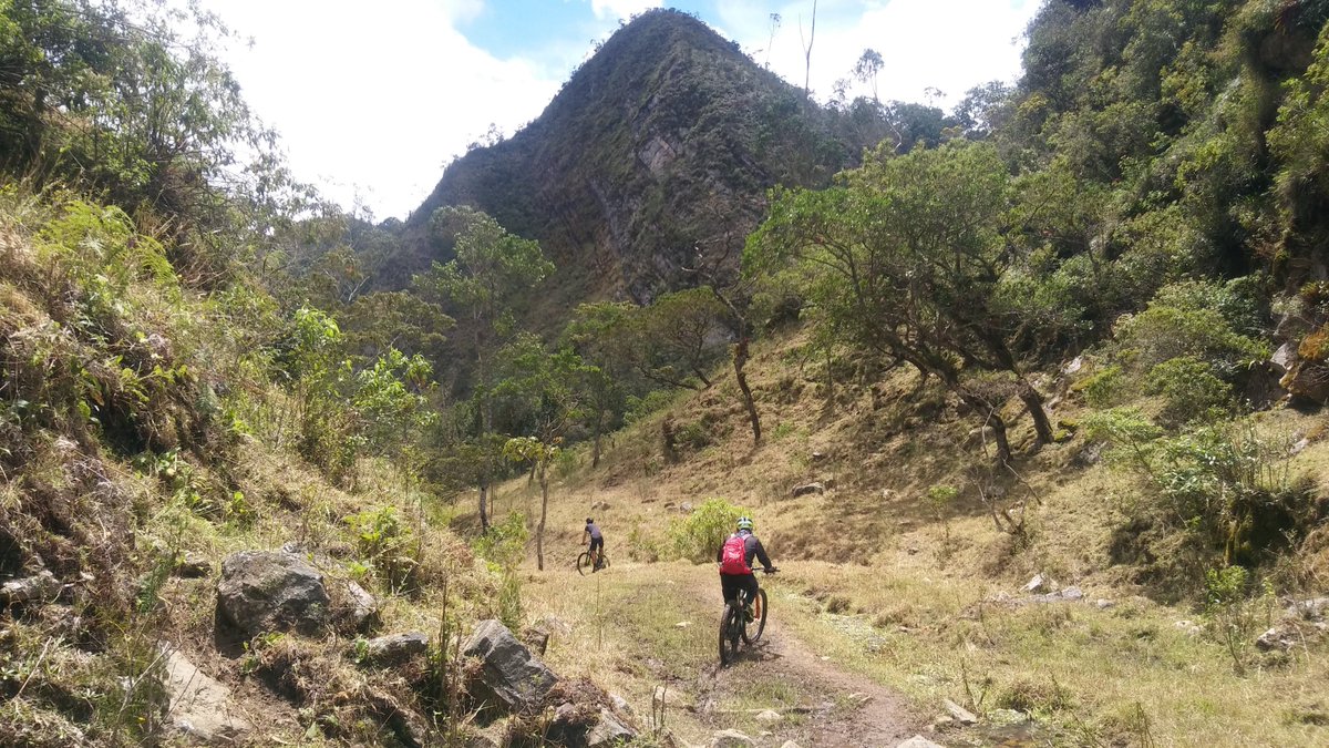 cyclepoint_co's tweet photo. Bogota- Subachoque- San Francisco (casi)- Alto del Vino- Bogota-, 123km, 2190m desnivel positivo, con el grupo Ciclomomtañistas Bogota (CMB) #CyclePoint #CyclePointCo #CyclePointSAS #CyclePointRides #CMB #CiclomontañistasBogota #MTBColombia #CiclismoColombia #CiclismoColombiano https://t.co/CiPSA7H08d
